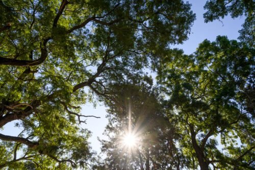 Nadoras Rest EXTERIOR 01 6 of 7