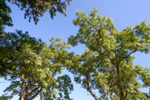 Nadoras Rest EXTERIOR 01 7 of 7