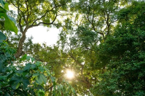 Nadoras Rest EXTERIOR 02 17 of 25